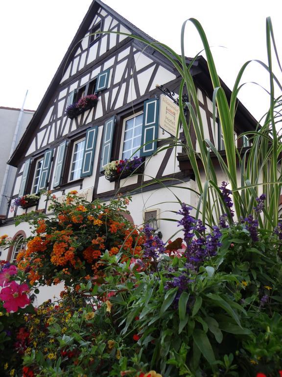 Hotel Schützenhof mit Loungegarten Bürstadt Exterior foto